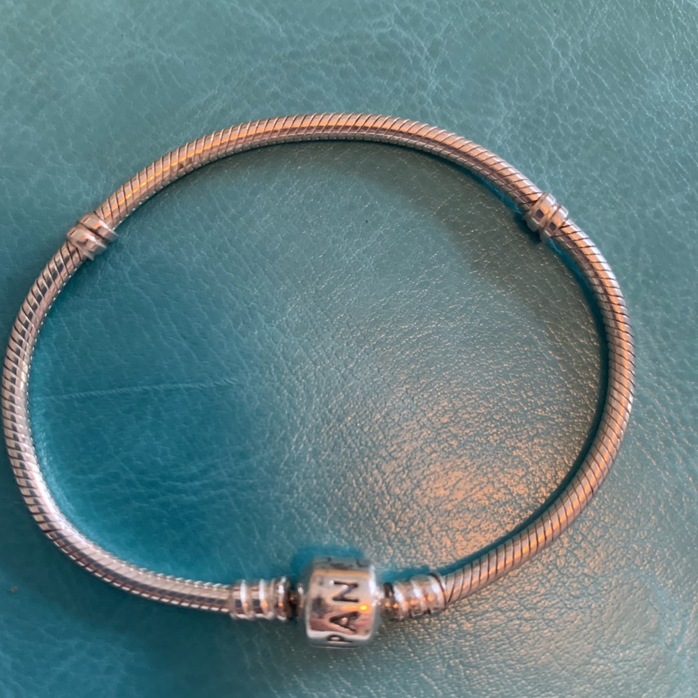 NWOT Pandora Charm Bracelet